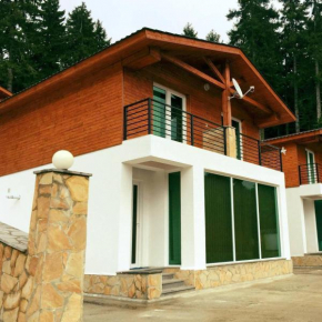 Cottage Kohta in Bakuriani